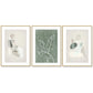 Abstract Body and Leaves Wall Art - 3 Sets Gold Frame