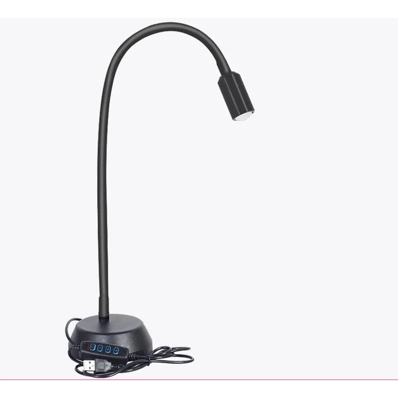 Adjustable Led Jewelry Table Lamp for Family Portraits