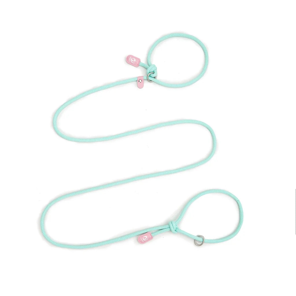 Adjustable Slip-On Dog Leashes - Lightweight