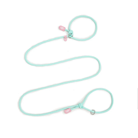 Adjustable Slip-On Dog Leashes - Lightweight