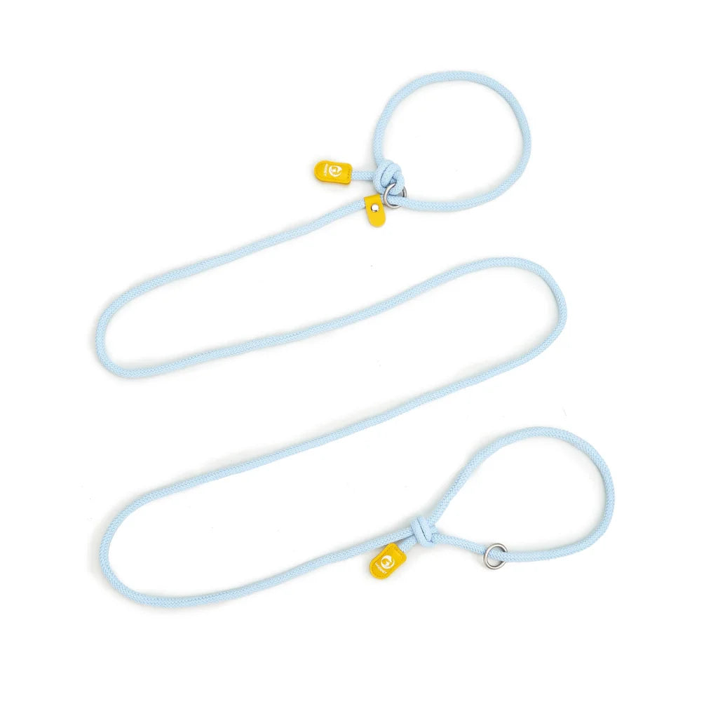 Adjustable Slip-On Dog Leashes - Lightweight