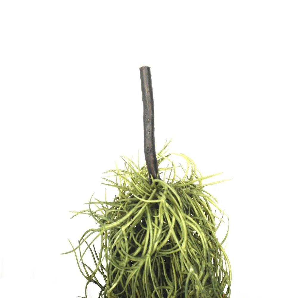 Air Plant Spanish Moss - Old Man Beard 60cm - Artificial