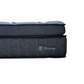 And Sleep Prime Mattress Queen - Furniture > Mattresses >
