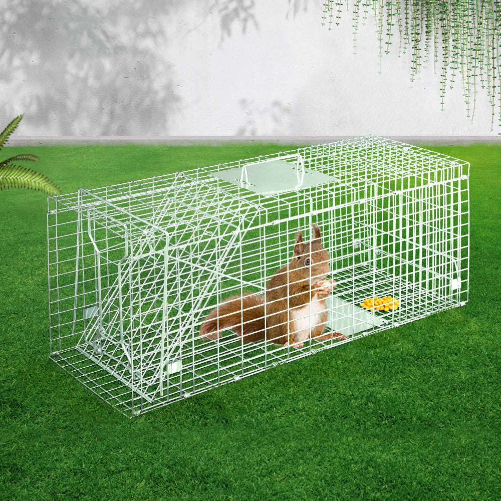 Animal trap cage with possum humane live