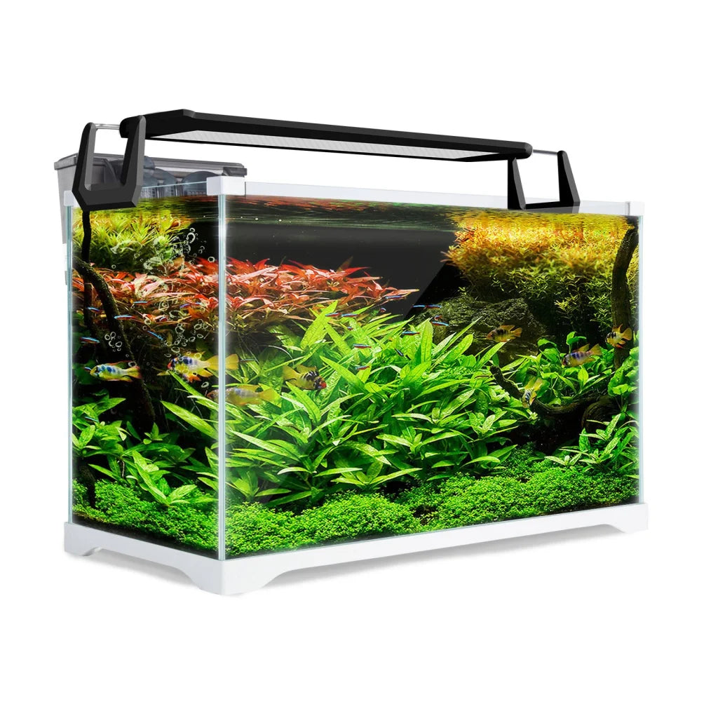 Aquarium Fish Tank 39L Starfire Glass - Dynamic Power