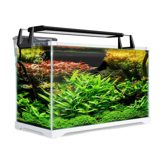 Aquarium Fish Tank 39L Starfire Glass - Dynamic Power