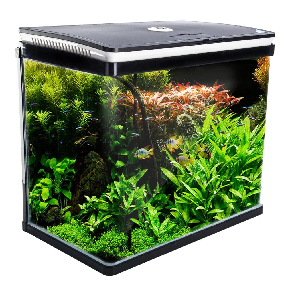 Aquarium Fish Tank 52L Curved Glass RGB LED - Dynamic Power