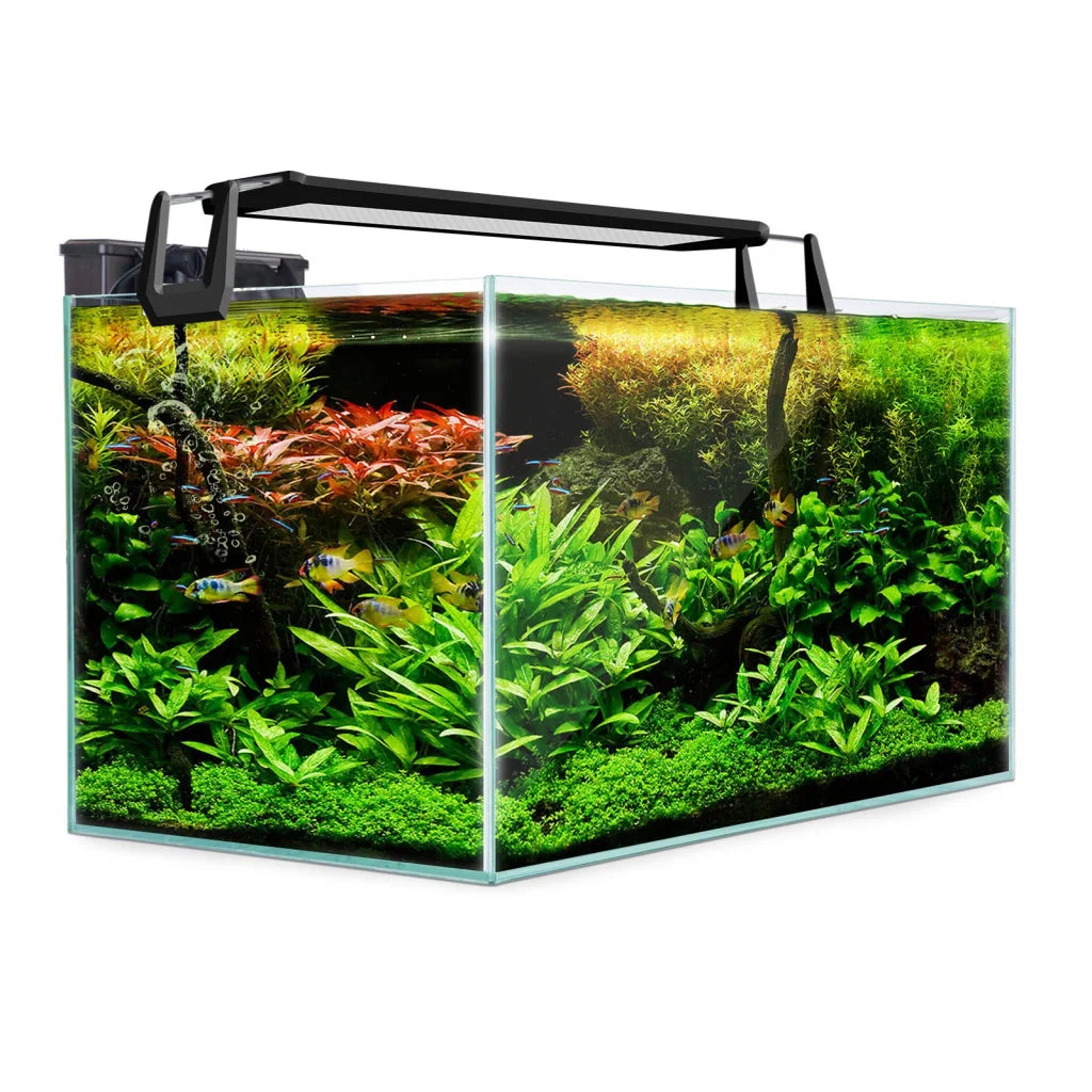 Aquarium Fish Tank 70L Starfire Glass - Dynamic Power