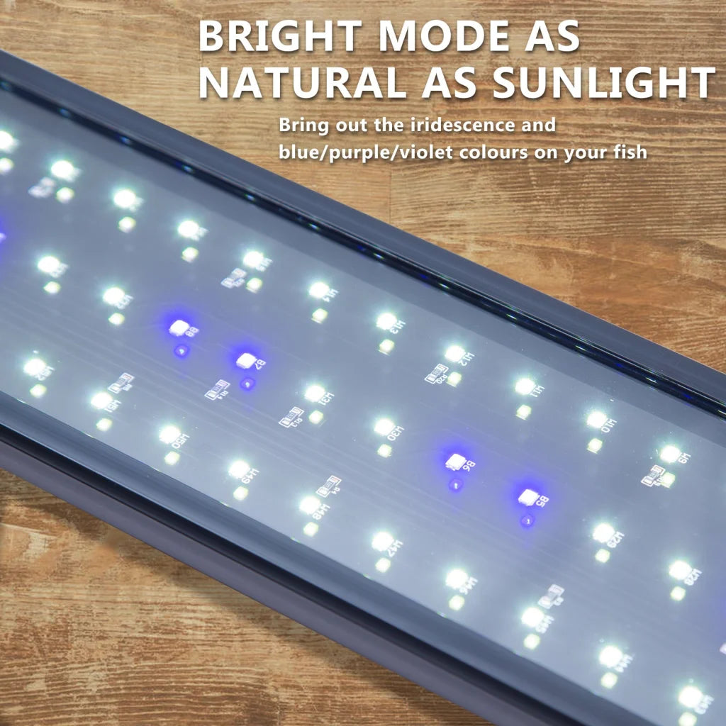 Aquarium LED Light Blue White for Tank 30-50cm - 6W Dynamic