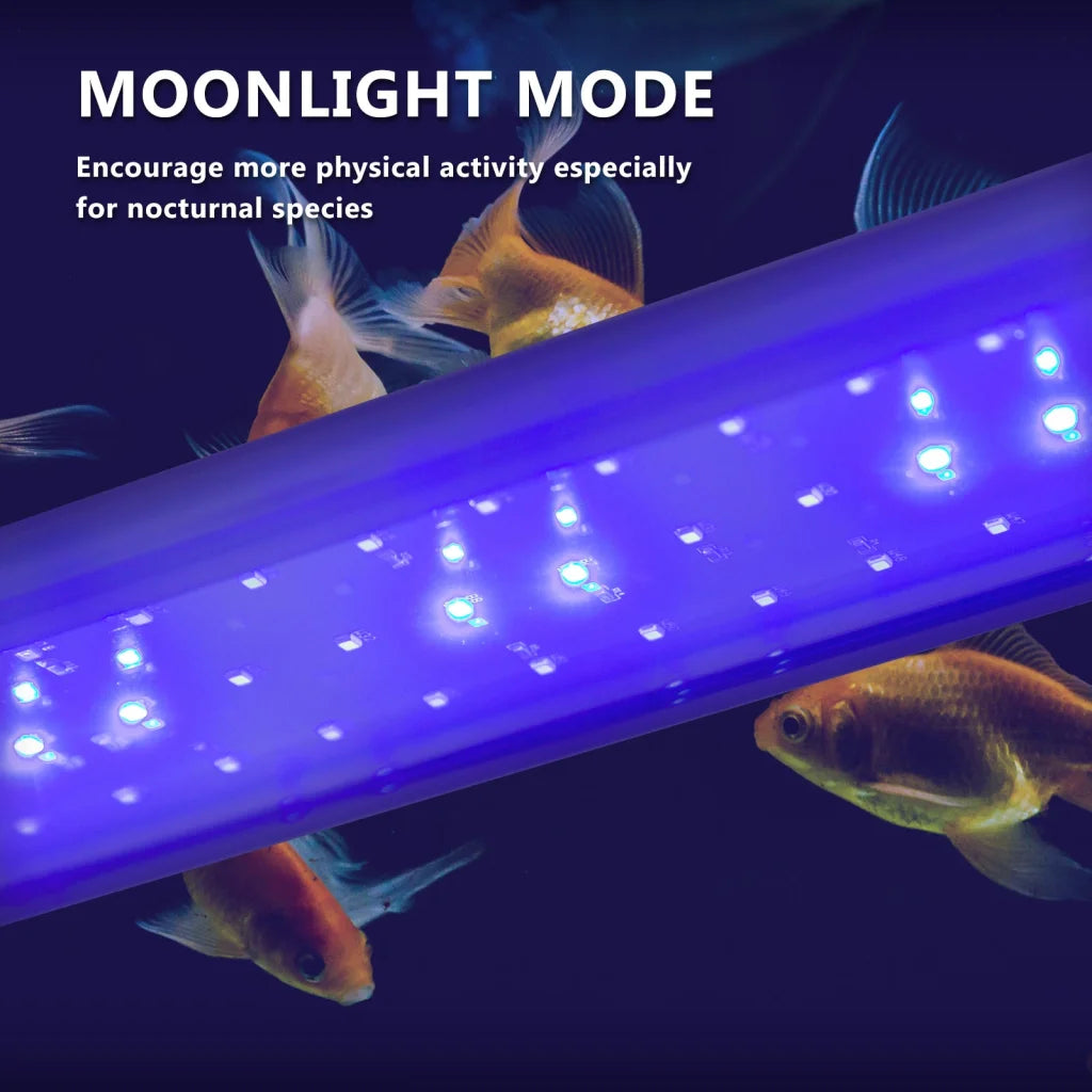 Aquarium LED Light Blue White for Tank 30-50cm - 6W Dynamic