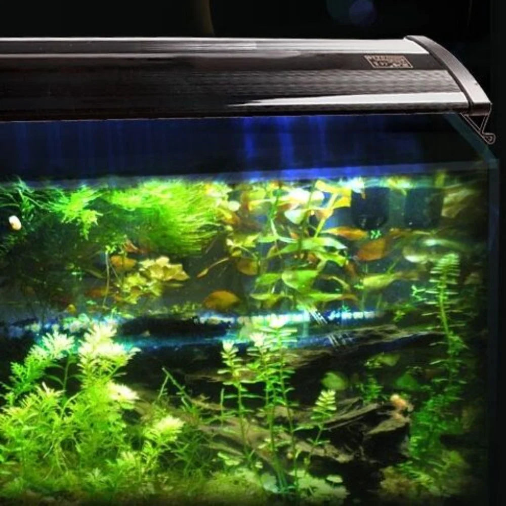 Aquarium light LED with storage context and item proportions