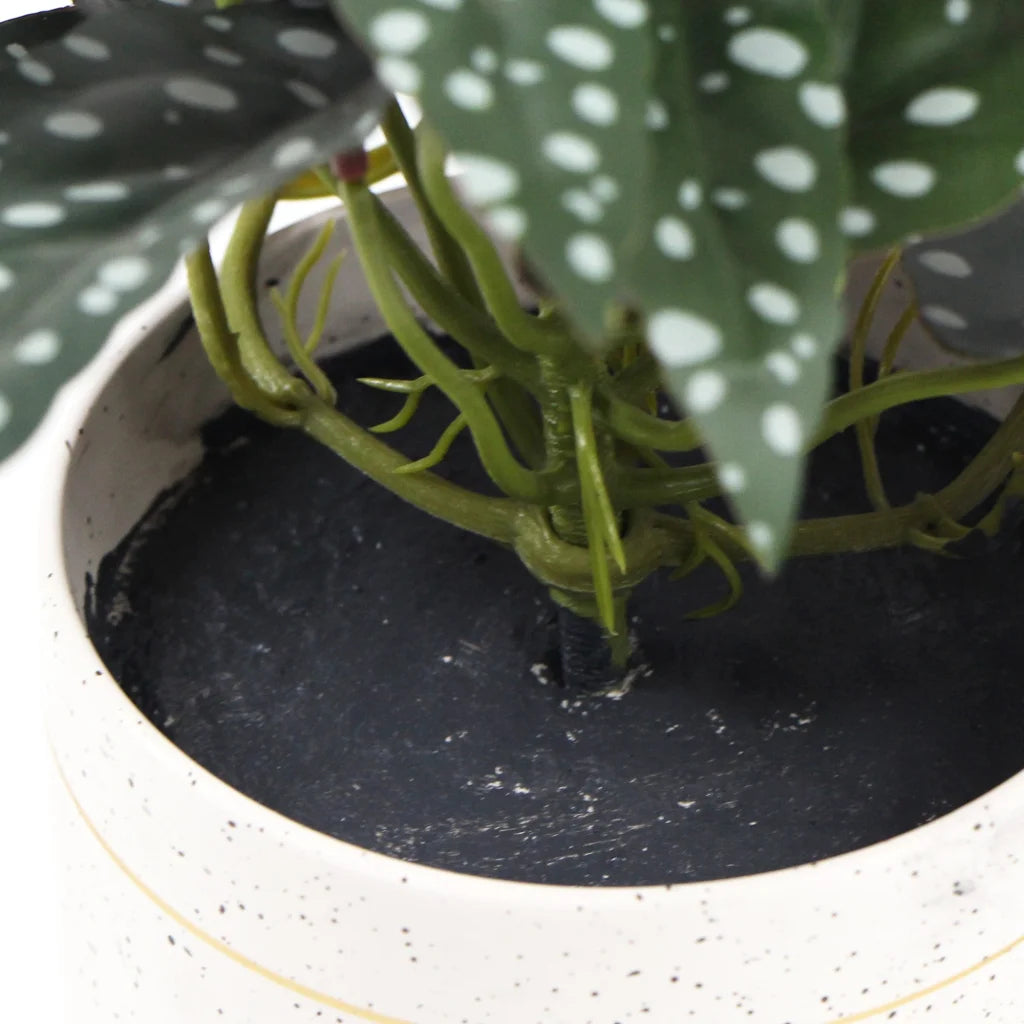 Artificial Bergonia Plant in Decorative Bowl - 30CM - Home