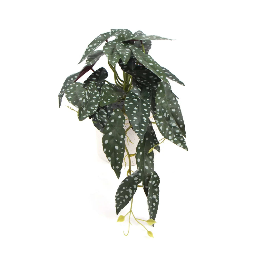 Artificial Bergonia Plant in Decorative Bowl - 30CM - Home