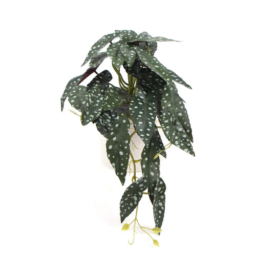 Artificial Bergonia Plant in Decorative Bowl - 30CM - Home