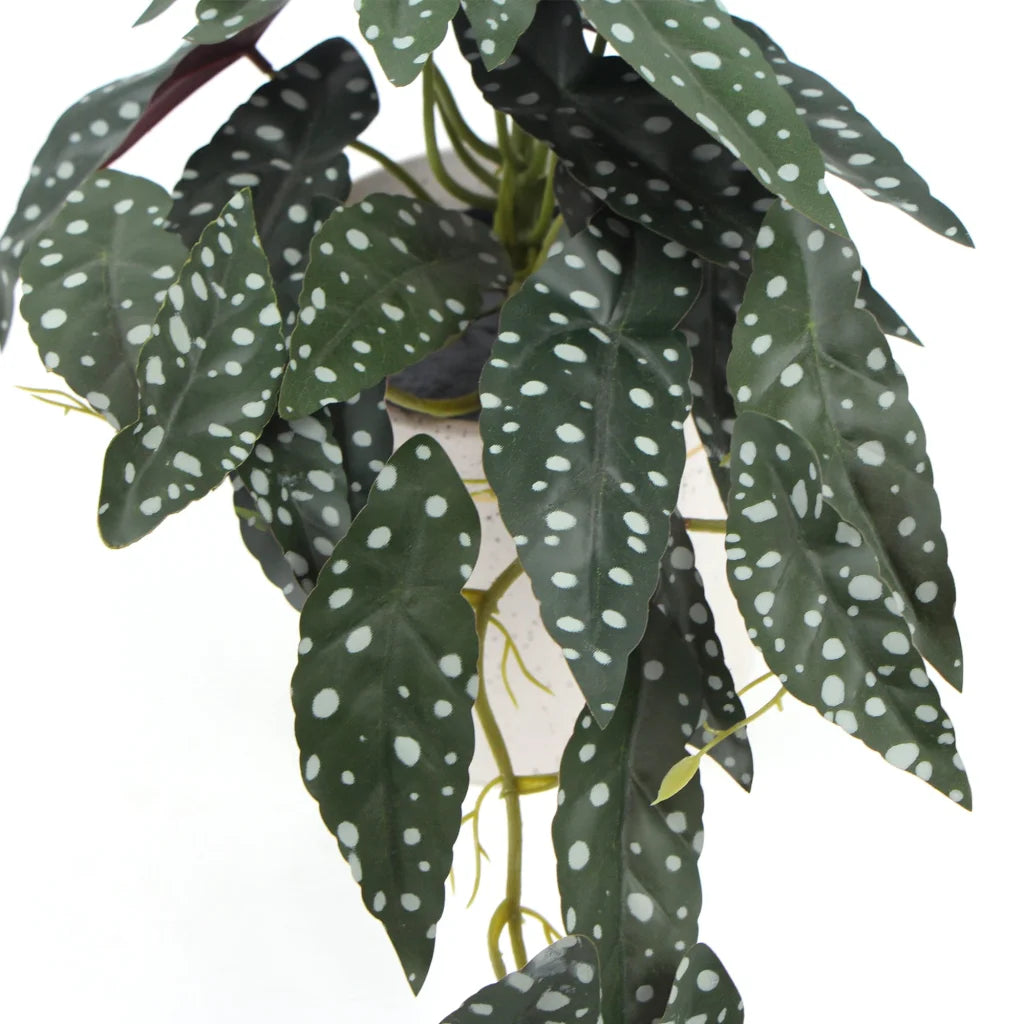 Artificial Bergonia Plant in Decorative Bowl - 30CM - Home