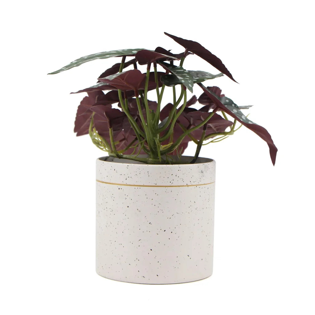 Artificial Bergonia Plant in Decorative Bowl - 30CM - Home