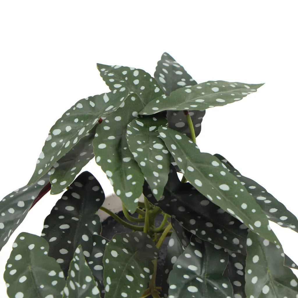 Artificial Bergonia Plant in Decorative Bowl - 30CM - Home