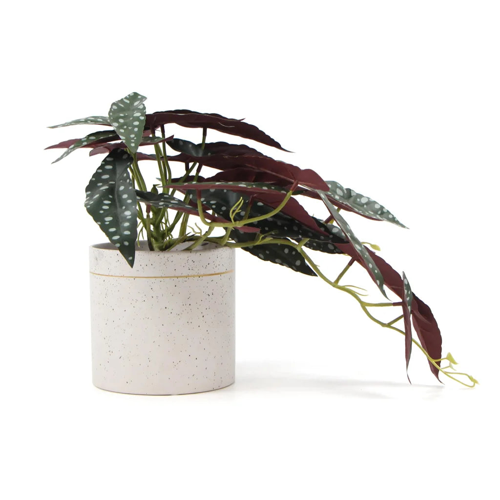 Artificial Bergonia Plant in Decorative Bowl - 30CM - Home