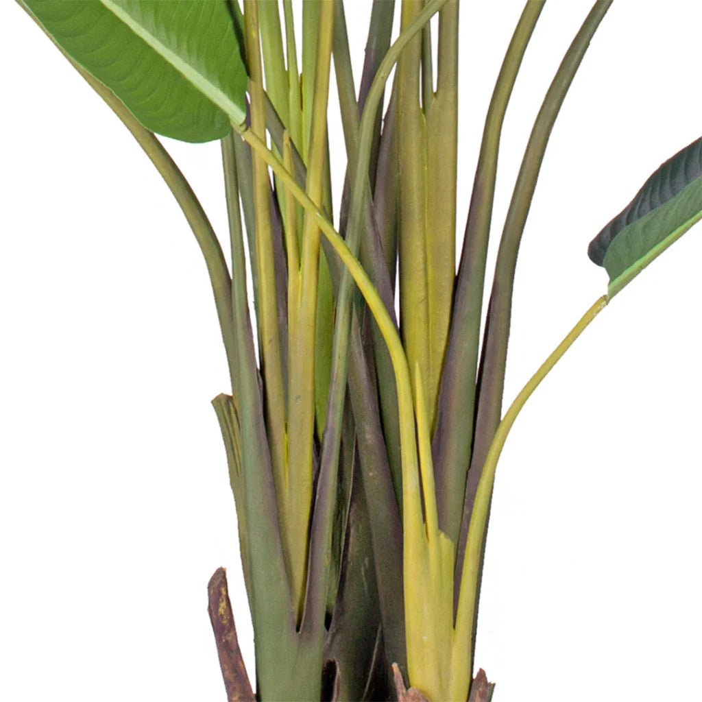 Artificial Birds of Paradise Tree 2X 245cm Giant Green Fake Tropical Indoor Plant Home Office Decor