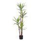 Artificial Dracaena Yucca Tree 180cm Natural Green Fake Tropical Indoor Plant Home Office Decor