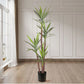 Artificial Dracaena Yucca Tree 180cm Natural Green Fake Tropical Indoor Plant Home Office Decor
