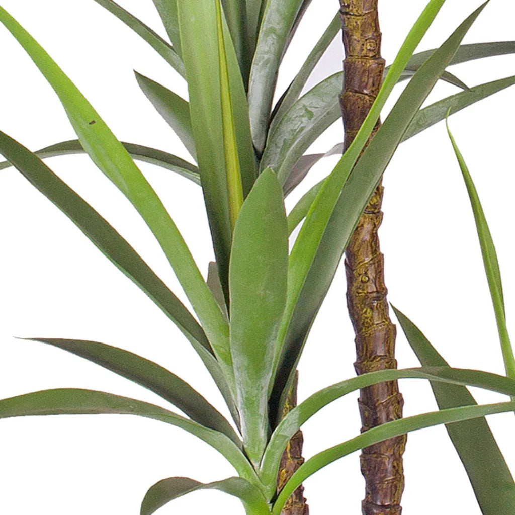 Artificial Dracaena Yucca Tree 4X 180cm Natural Green Fake Tropical Indoor Plant Home Office Decor