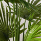 Artificial Fan Palm Tree 2X 180cm Natural Green Fake Tropical Indoor Plant Home Office Decor