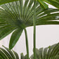 Artificial Fan Palm Tree 4X 150cm Natural Green Fake Tropical Indoor Plant Home Office Decor