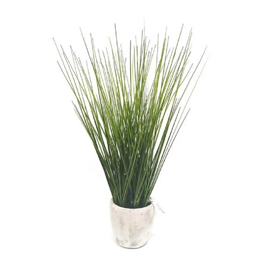 Artificial Grass in cement vase - Home & Garden >