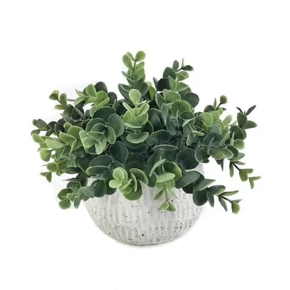 Artificial Greenery Plant in Ceramic Pot 21cm - Home &
