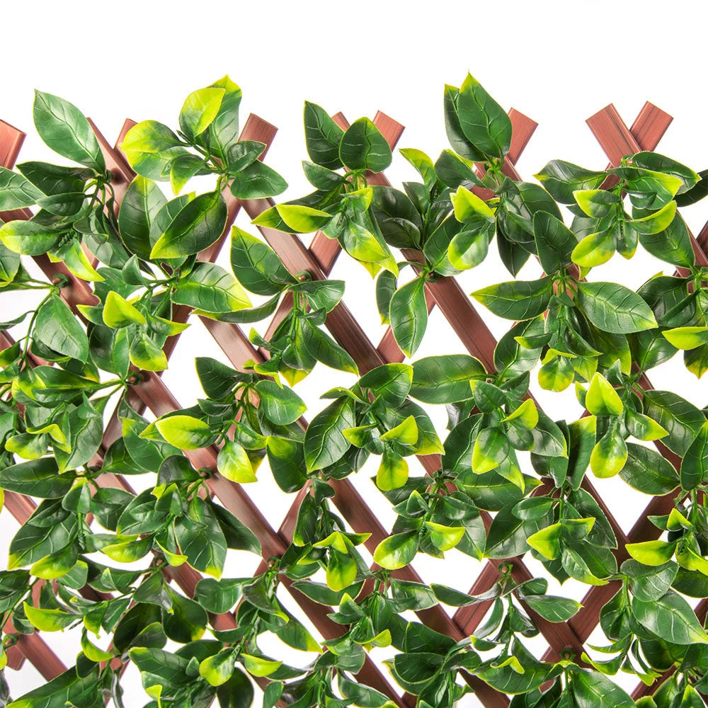Artificial Hedge Jasmine Extendable Trellis / Screen 2