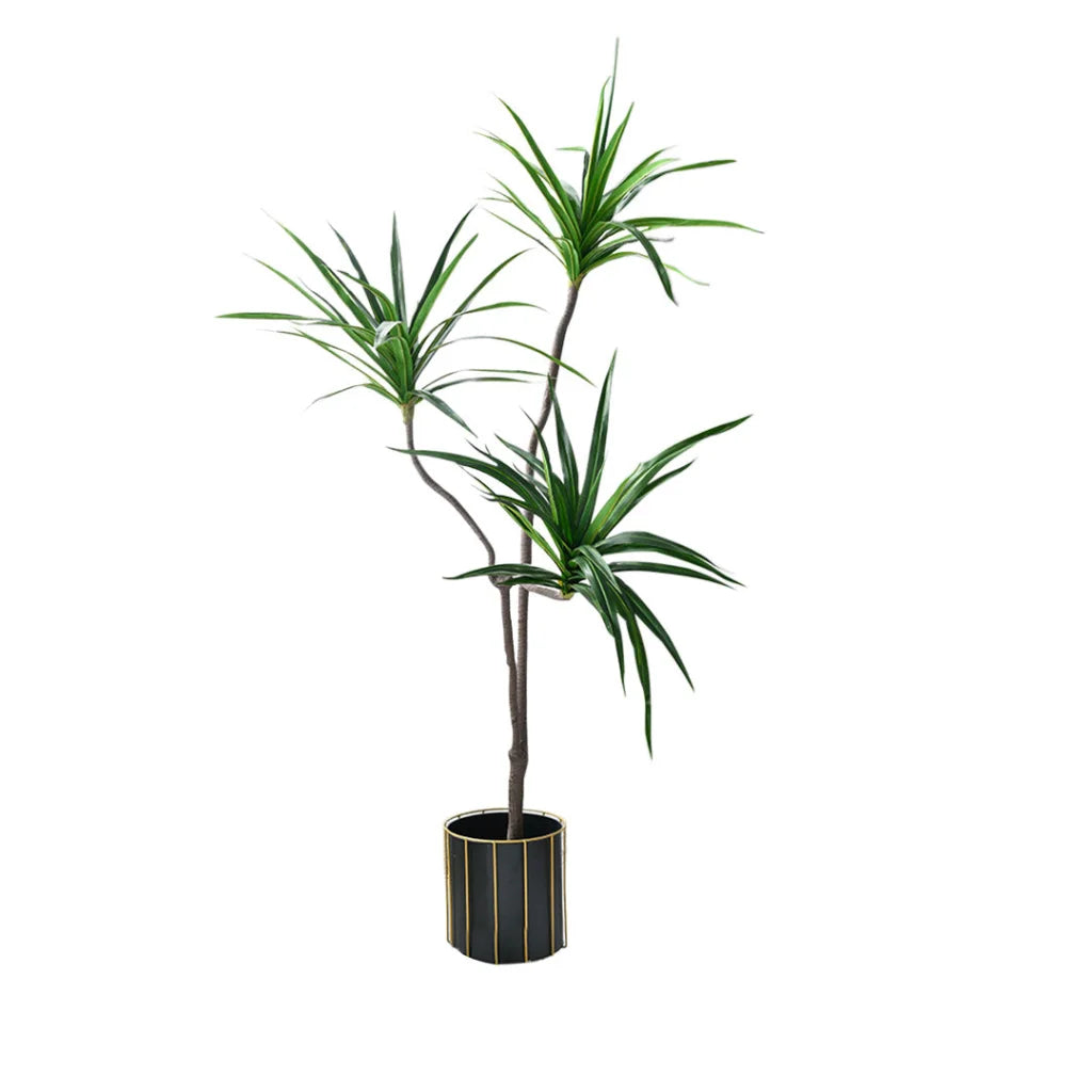 Artificial Indoor Brazilian Iron Tree Premium 180cm Green Fake Plant Decorative - 3 Heads