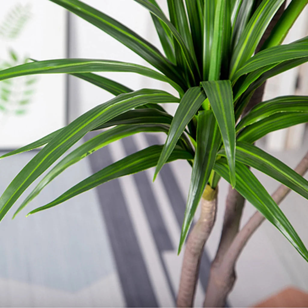 Artificial Indoor Brazilian Iron Tree Premium 180cm Green Fake Plant Decorative - 3 Heads