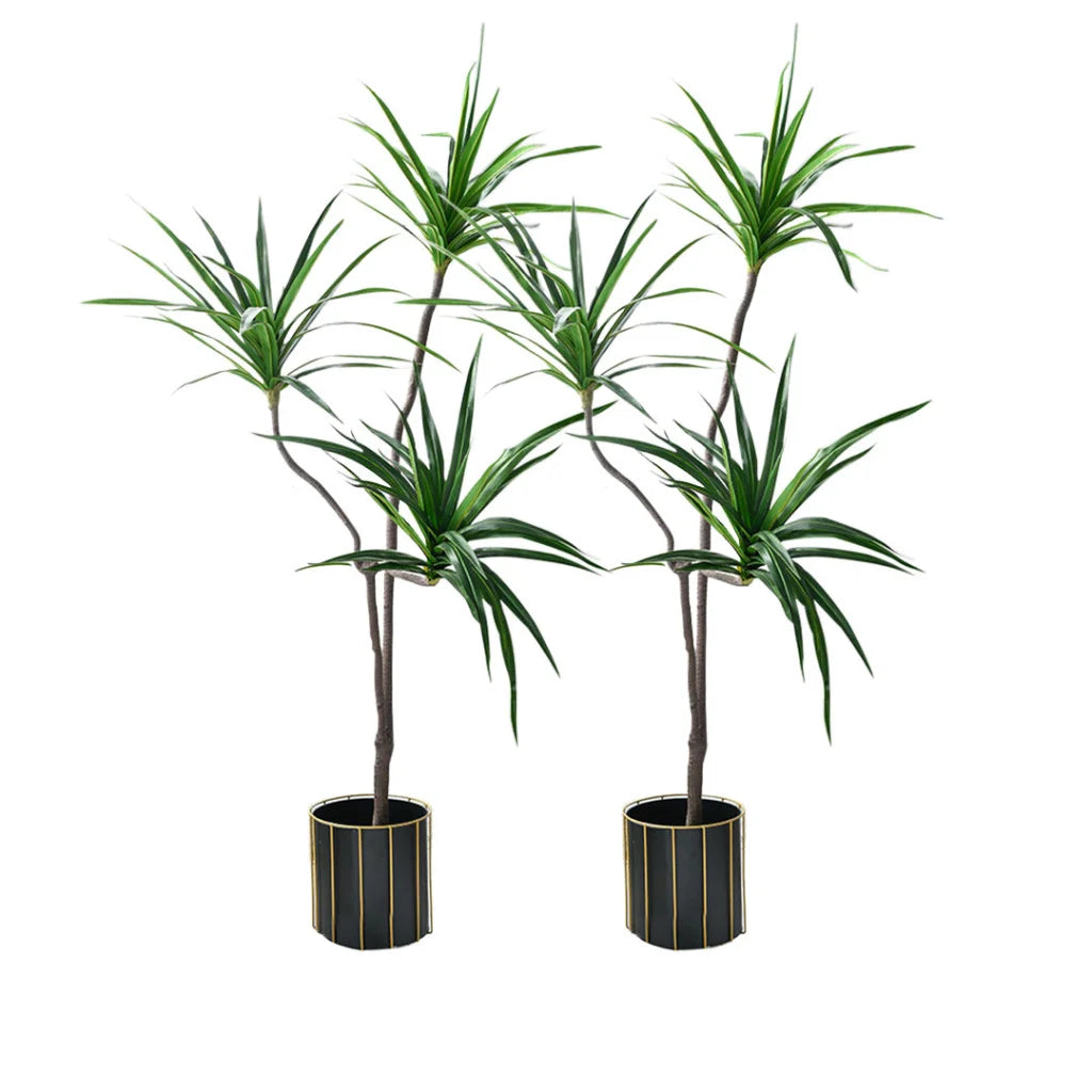 Artificial Indoor Brazilian Iron Tree Set Premium 2X 180cm Green Fake Plant Decorative - 3 Heads