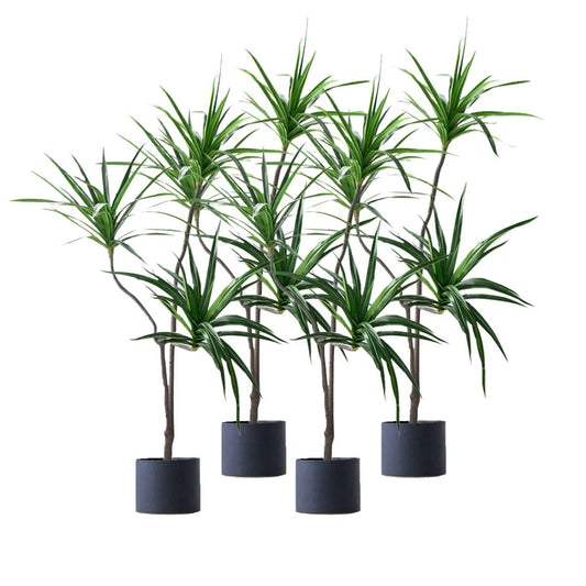 Artificial Indoor Brazilian Iron Tree Set Premium 4X 180cm Green Fake Decorative - 3 Heads