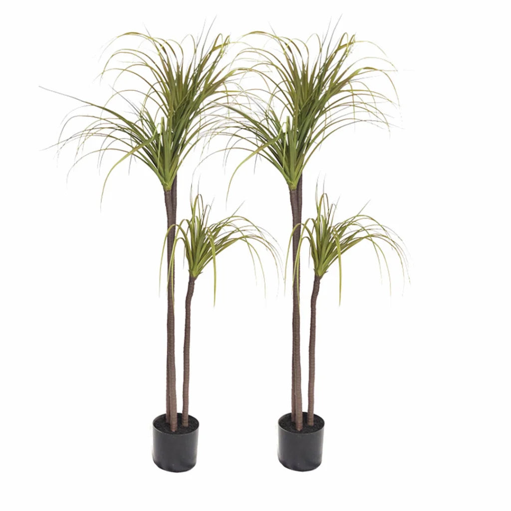 Artificial Indoor Dragon Blood Tree Set Premium 2X 145cm Green Fake Decorative