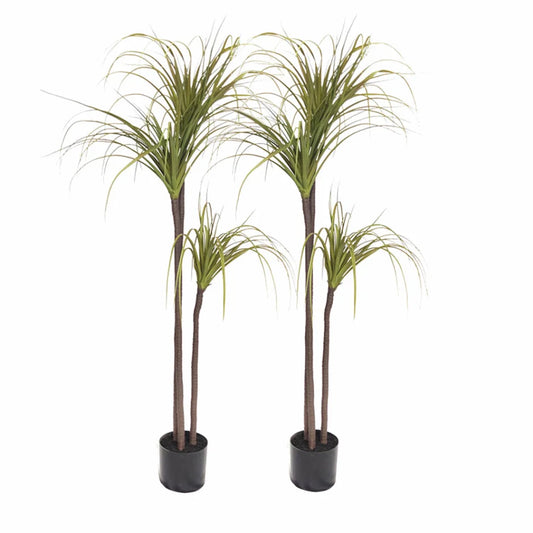 Artificial Indoor Dragon Blood Tree Set Premium 2X 145cm Green Fake Decorative