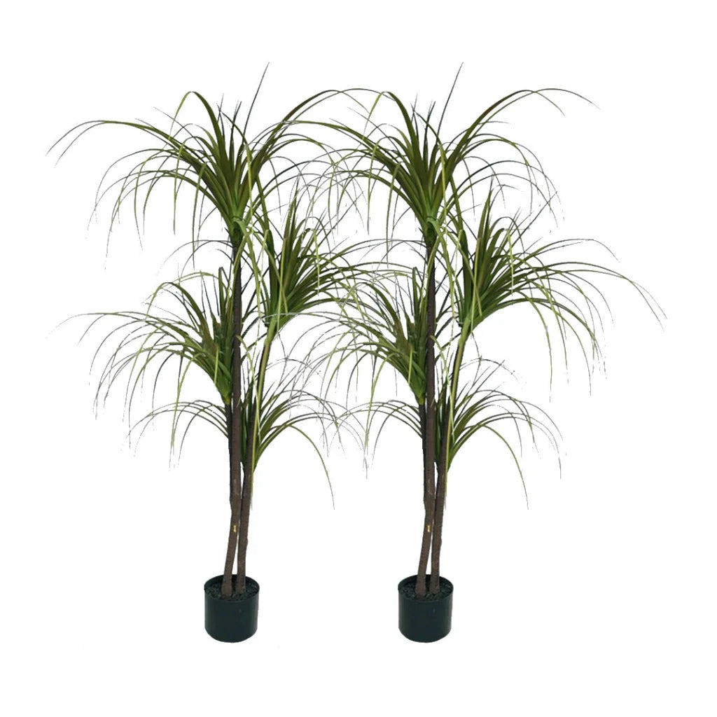 Artificial Indoor Dragon Blood Tree Set Premium 2X 150cm Green Fake Plant Simulation Decorative