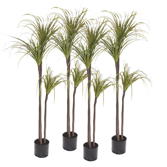 Artificial Indoor Dragon Blood Tree Set Premium 4X 145cm Green Fake Decorative