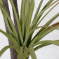 Artificial Indoor Dragon Blood Tree Set Premium 4X 145cm Green Fake Decorative