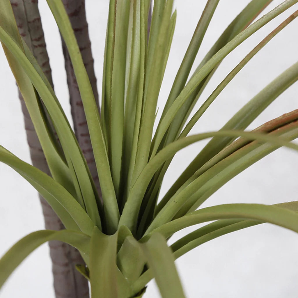 Artificial Indoor Dragon Blood Tree Set Premium 4X 145cm Green Fake Decorative