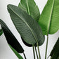 Artificial Indoor Nordic Wind Traveler Banana Plant Set Premium 4X 180cm Green Fake Decorative Tree