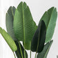 Artificial Indoor Nordic Wind Traveler Banana Plant Set Premium 4X 180cm Green Fake Decorative Tree