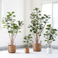 Artificial Indoor Pocket Money Tree Premium 150cm Green Fake Plant Simulation Decorative