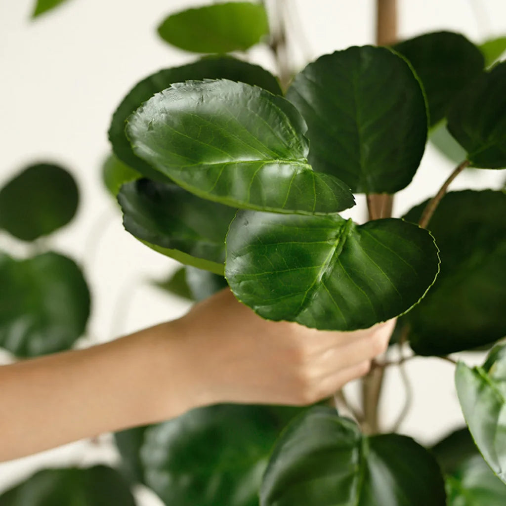 Artificial Indoor Pocket Money Tree Premium 180cm Green Fake Plant Simulation Decorative