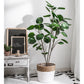 Artificial Indoor Pocket Money Tree Set Premium 4X 95cm Green Fake Plant Simulation Decorative