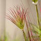 Artificial Indoor Potted Papyrus Plant Tree Premium 120cm Purple-Red Fake Simulation Decorative