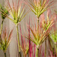 Artificial Indoor Potted Papyrus Plant Tree Premium 120cm Purple-Red Fake Simulation Decorative