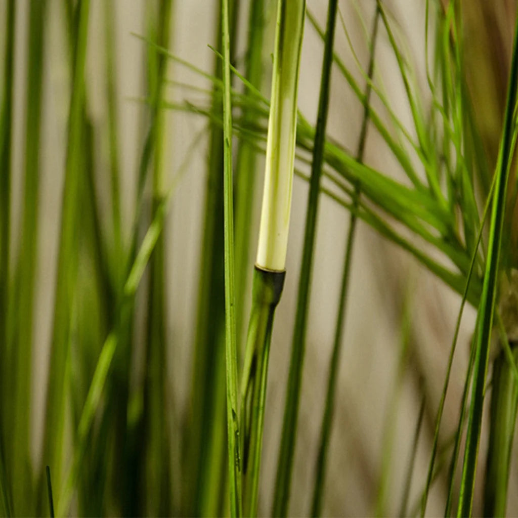 Artificial Indoor Potted Papyrus Plant Tree Premium 150cm Green Fake Simulation Decorative