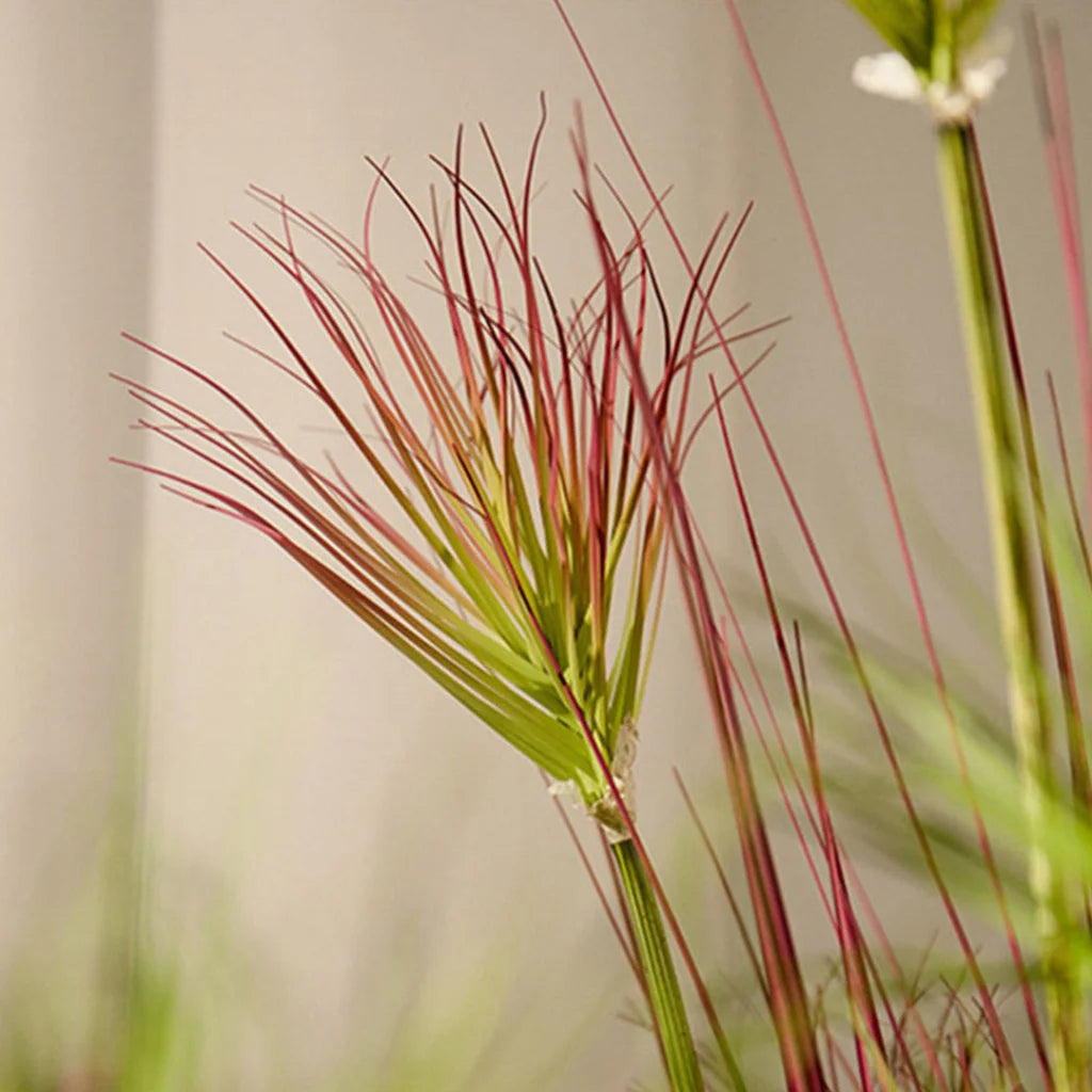 Artificial Indoor Potted Papyrus Plant Tree Set Premium 4X 120cm Purple-Red Fake Simulation Decorative